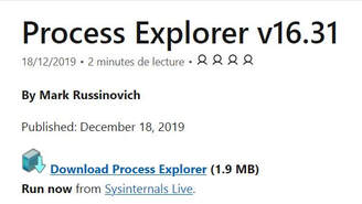 Photo page de Process Explorer v16.31